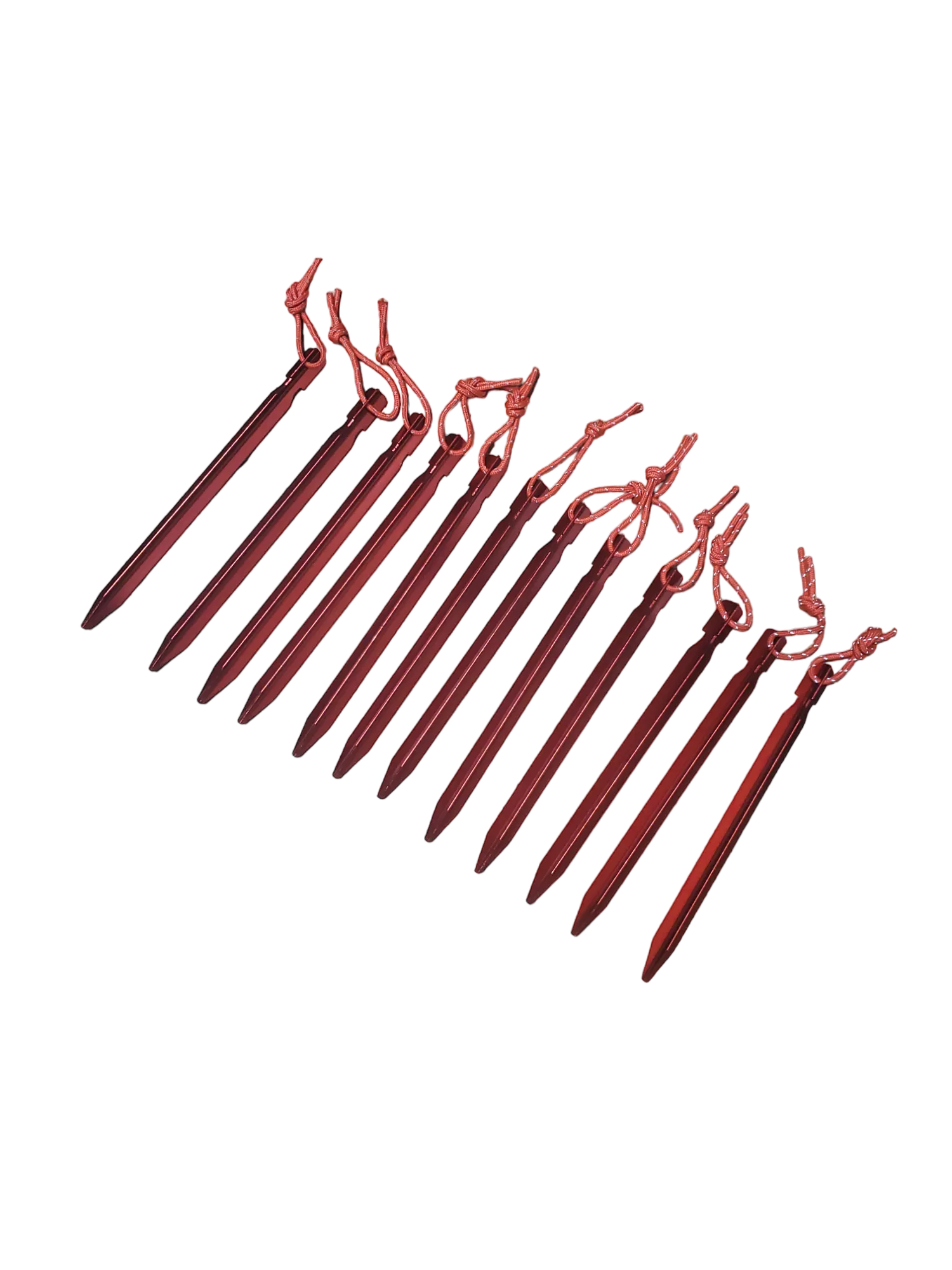 RBO Armadillo Tent Stake - 12 Pack